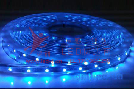 单蓝LED软条灯效果