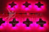 红色LED十字星光灯